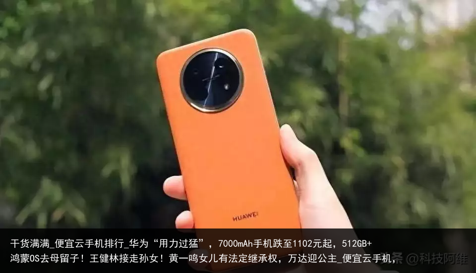 干货满满_便宜云手机排行_华为“用力过猛”，7000mAh手机跌至1102元起，512GB 鸿蒙OS去母留子！王健林接走孙女！黄一鸣女儿有法定继承权，万达迎公主_便宜云手机，