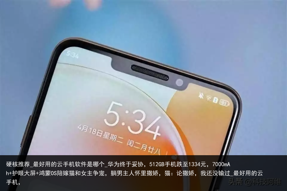 硬核推荐_最好用的云手机软件是哪个_华为终于妥协，512GB手机跌至1334元，7000mAh 护眼大屏 鸿蒙OS陪嫁猫和女主争宠，躺男主人怀里撒娇，猫：论撒娇，我还没输过_最好用的云手机，